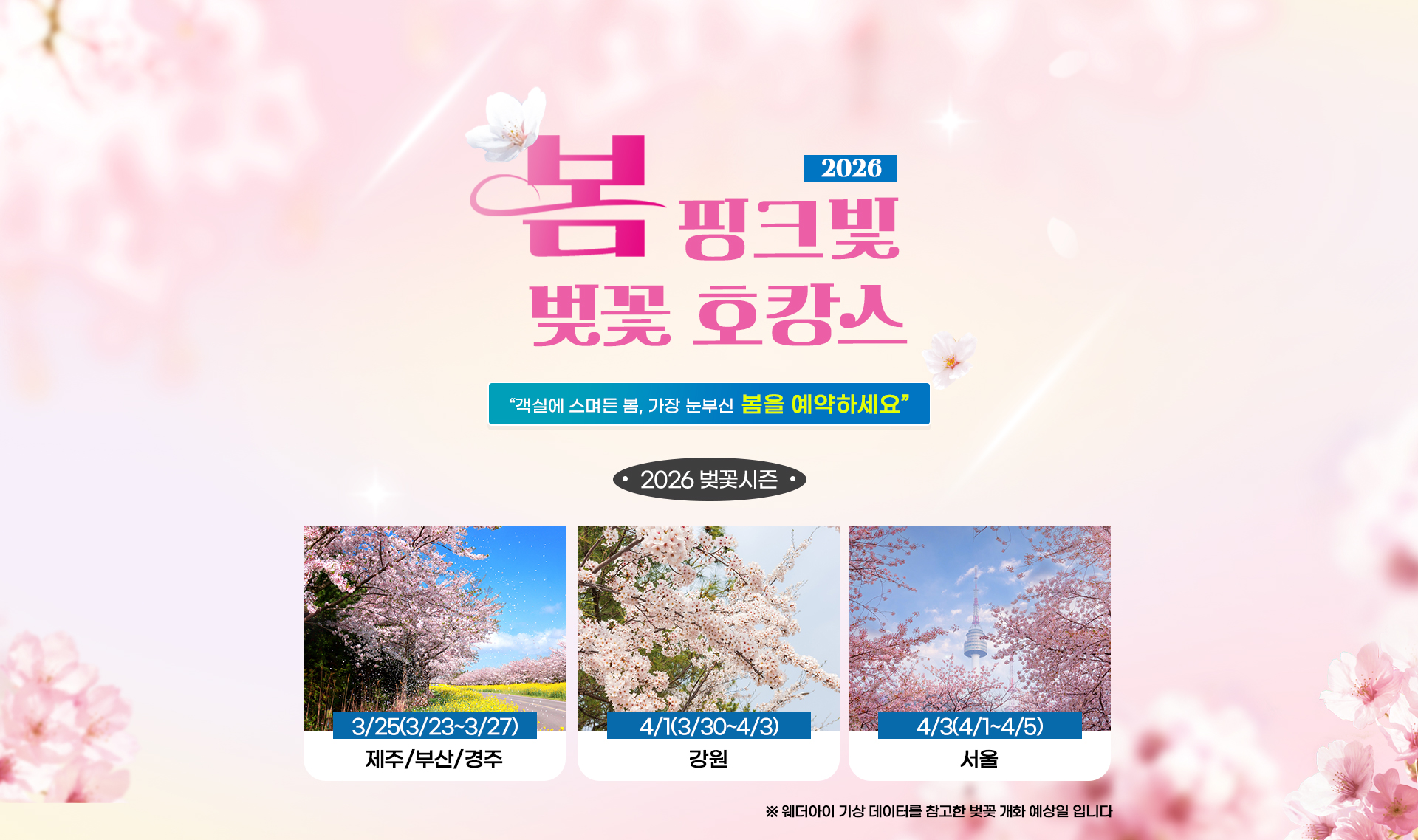 [기획전] 국내 벚꽃시즌 기획전